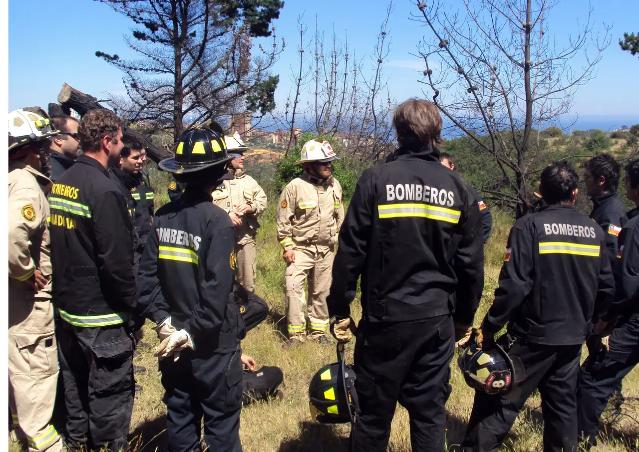 Bomberos en operación forestal